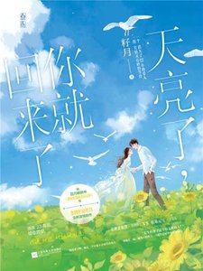 天亮了,你就回来了(出书版)
