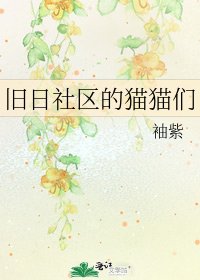 旧日社区的猫猫们