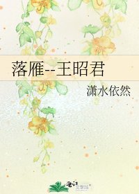 落雁--王昭君