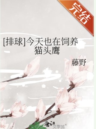（排球少年同人）[排球]今天也在飼養貓頭鷹